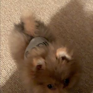 Meet your Posher, Elouise